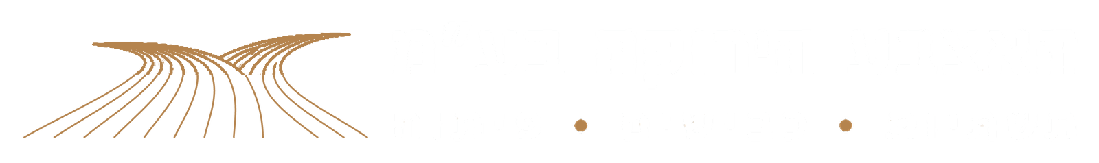 האצבע הירוקה בע״מ — תשתיות, כבישים ופיתוח