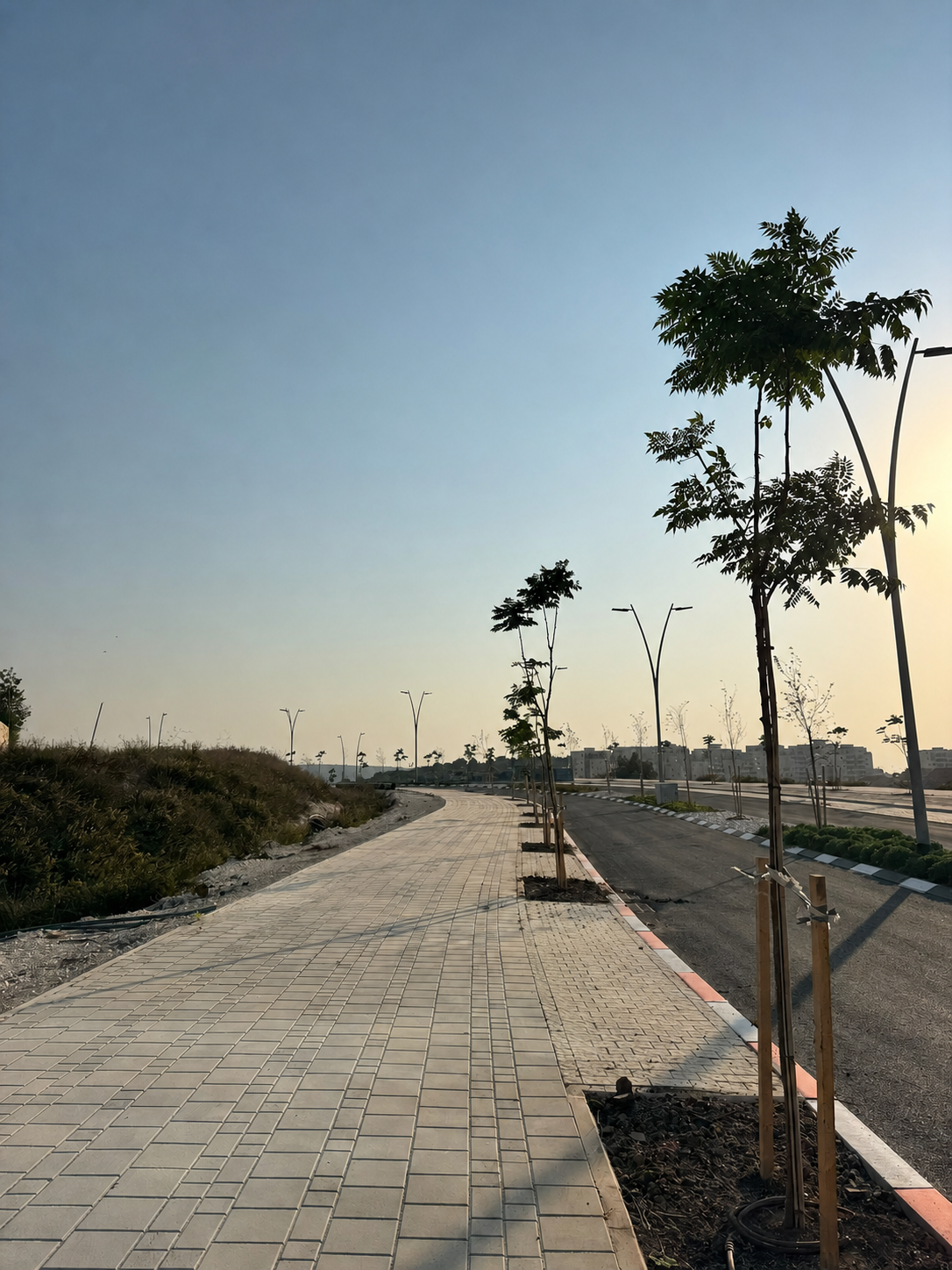 תאורה, נטיעות ומדרכה לאורך פרויקט השלמות הכבישים בבית שמש